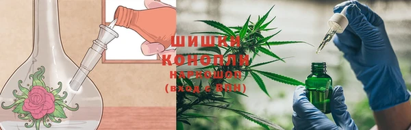 мяу мяу мука Арсеньев