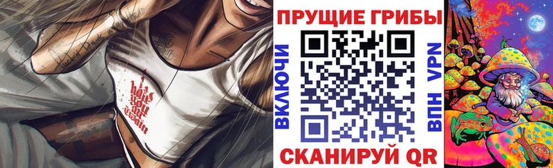 Галлюциногенные грибы Psilocybe  Волжск 